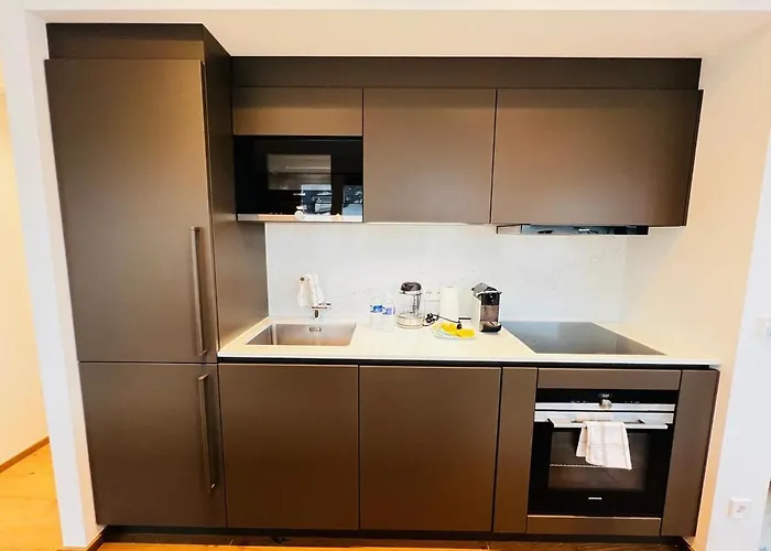 Daire Charming 1 Bedroom With Balcon And Parking Lüksemburg